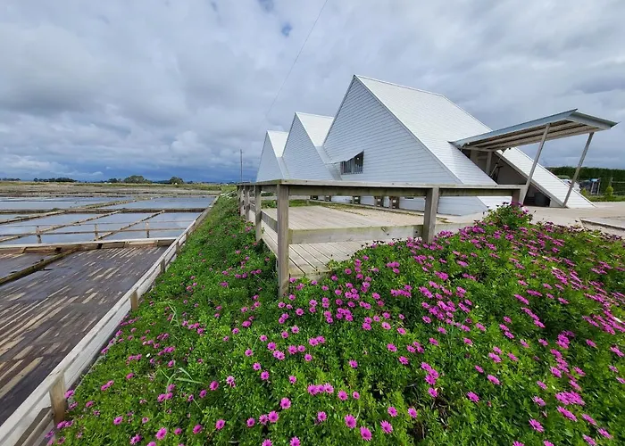 Hotel com piscina: Barcos Casa Aveiro
